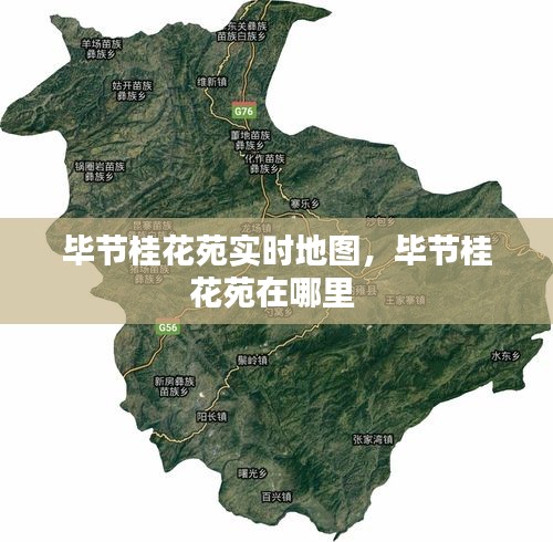 毕节桂花苑实时地图,毕节桂花苑在哪里