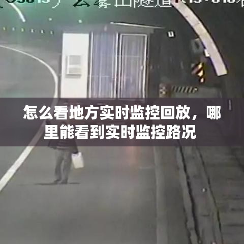 怎么看地方实时监控回放,哪里能看到实时监控路况