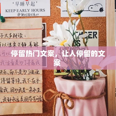 停留热门文案,让人停留的文案