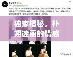 独家揭秘，扑朔迷离的情感密爱绯闻旅程