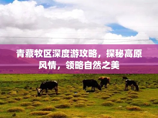 青藏牧区深度游攻略,探秘高原风情,领略自然之美