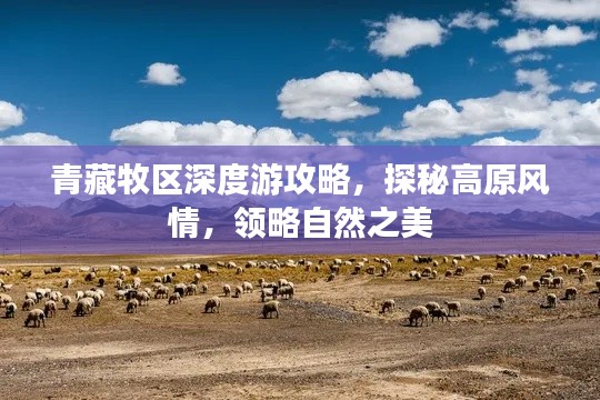 青藏牧区深度游攻略,探秘高原风情,领略自然之美