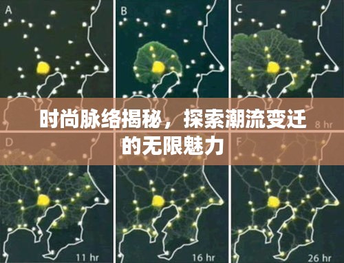 时尚脉络揭秘,探索潮流变迁的无限魅力