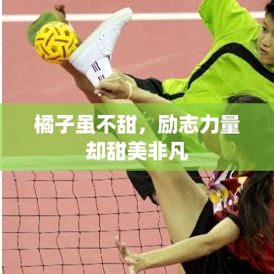 联系我们 第187页