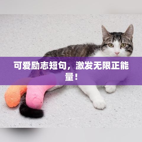 可爱励志短句,激发无限正能量!