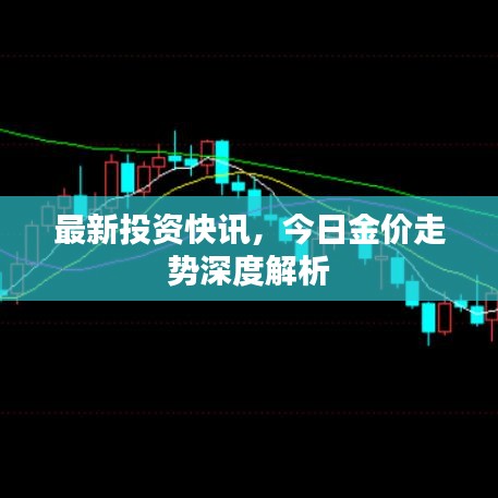 最新投资快讯,今日金价走势深度解析
