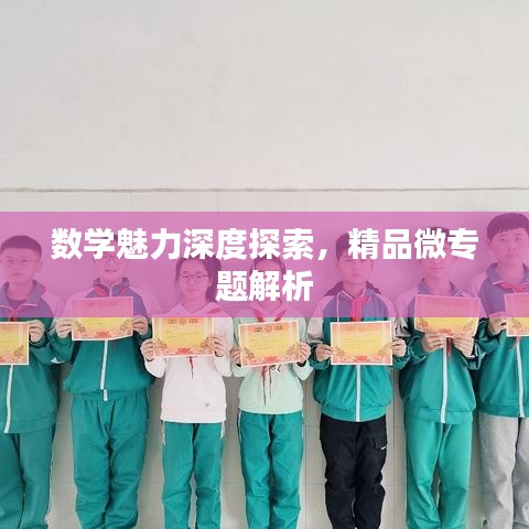 数学魅力深度探索,精品微专题解析