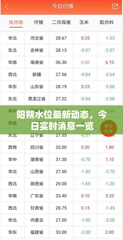 阳朔水位最新动态,今日实时消息一览
