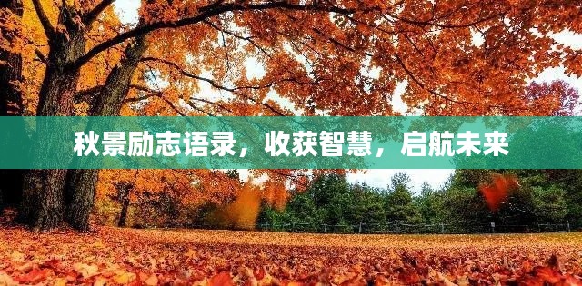 秋景励志语录,收获智慧,启航未来