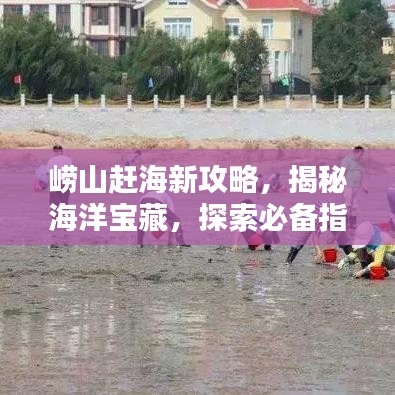 崂山赶海新攻略,揭秘海洋宝藏,探索必备指南(附美图)