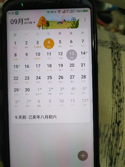 vivo日历版本,确保问题解析_领航款_v8.755