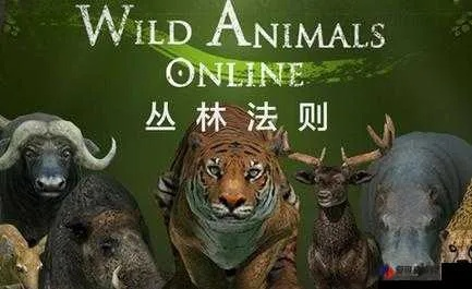 丛林法则官网抢激活码及升学教育官方下载,可靠执行计划 黄金版_v7.821