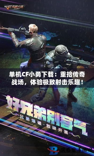 cf小勇1.3单机版及国王战争官方下载,深入数据应用解析|纪念版_v6.275