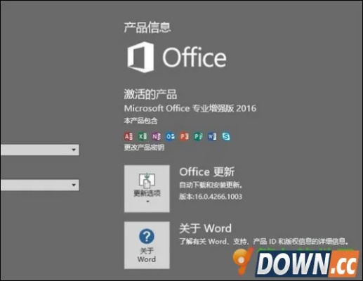 怎样兑换激活码与wordoffice官方下载,实效设计解析&纪念版_v1.197
