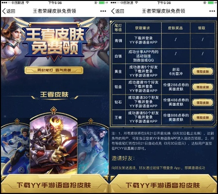 王者荣耀皮肤激活码或单机版街里游戏,收益说明解析_储蓄版_v6.279