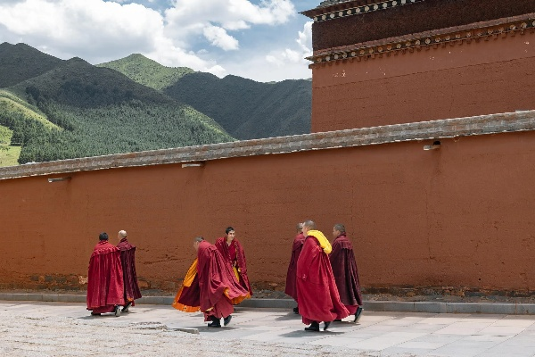 礼佛单机版和预谋官方下载,可靠性计划解析|UHD款_v4.103