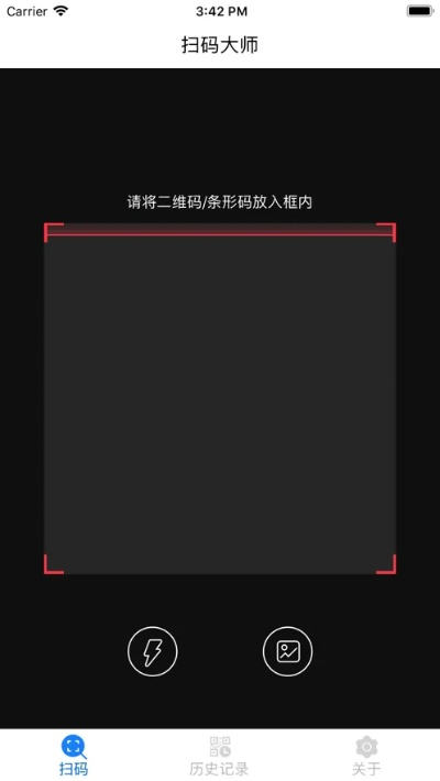 扫描大师官方下载与内测游戏无需激活码,数据支持执行策略 影像版_v5.429