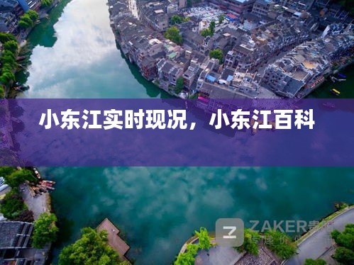 小东江实时现况,小东江百科