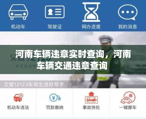 河南车辆违章实时查询,河南车辆交通违章查询