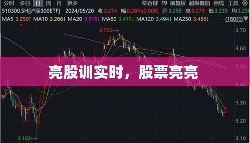技术支持 第297页