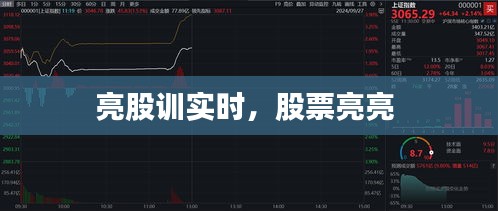 亮股训实时,股票亮亮