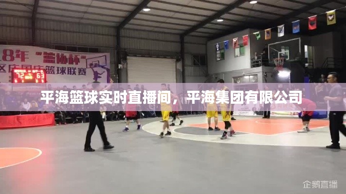 平海篮球实时直播间,平海集团有限公司