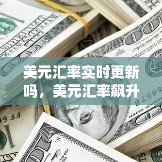 美元汇率实时更新吗,美元汇率飙升
