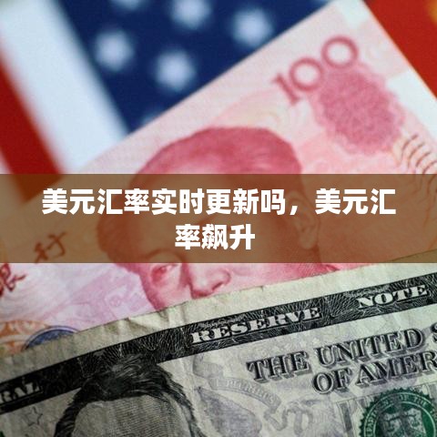 美元汇率实时更新吗,美元汇率飙升