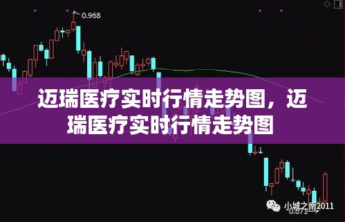 迈瑞医疗实时行情走势图,迈瑞医疗实时行情走势图