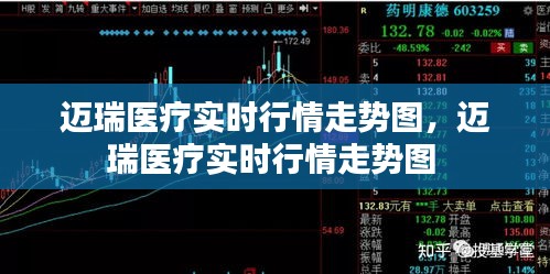 迈瑞医疗实时行情走势图,迈瑞医疗实时行情走势图