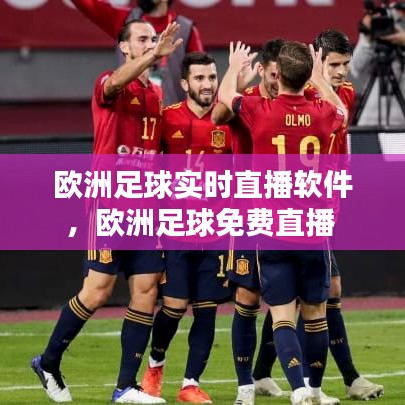 欧洲足球实时直播软件,欧洲足球免费直播