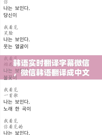 韩语实时翻译字幕微信,微信韩语翻译成中文