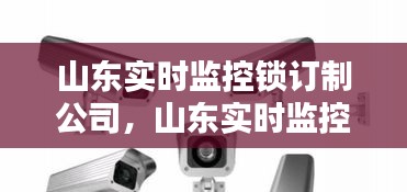 山东实时监控锁订制公司,山东实时监控锁订制公司