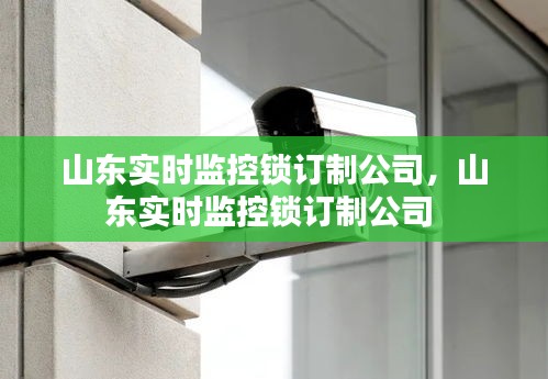 山东实时监控锁订制公司,山东实时监控锁订制公司