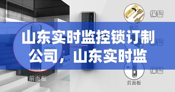 山东实时监控锁订制公司,山东实时监控锁订制公司