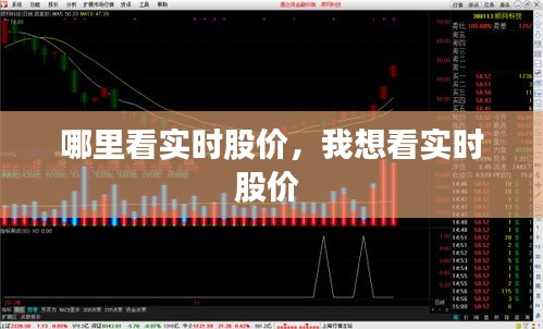 哪里看实时股价,我想看实时股价