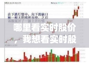 哪里看实时股价,我想看实时股价