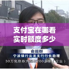 支付宝在哪看实时额度多少,支付宝怎么看额度多少