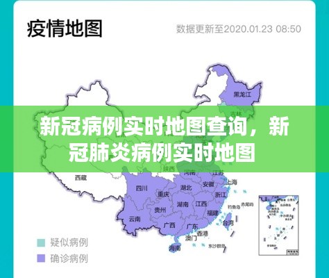 新冠病例实时地图查询,新冠肺炎病例实时地图