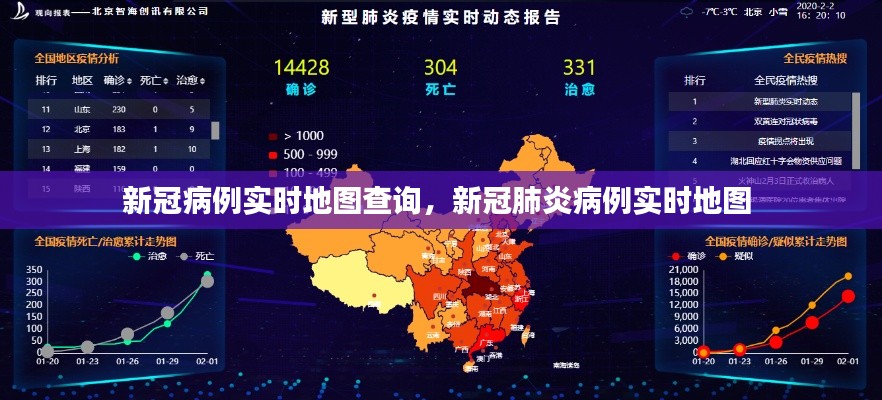 新冠病例实时地图查询,新冠肺炎病例实时地图