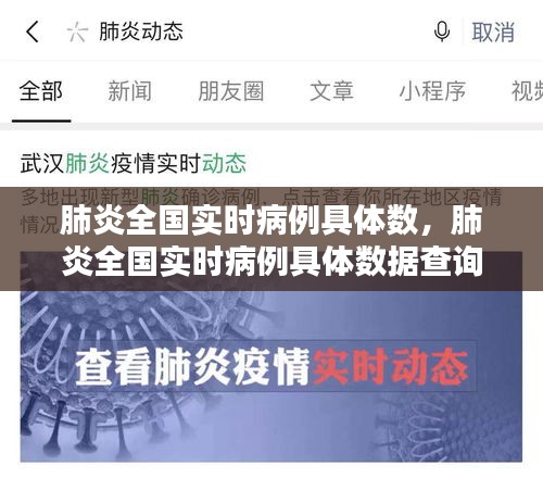 肺炎全国实时病例具体数,肺炎全国实时病例具体数据查询