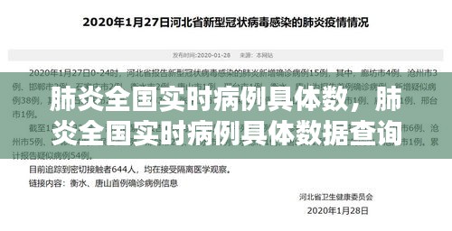 肺炎全国实时病例具体数,肺炎全国实时病例具体数据查询