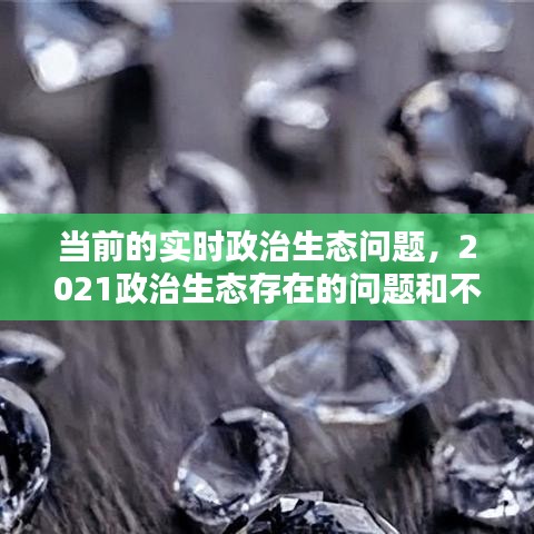 当前的实时政治生态问题,2021政治生态存在的问题和不足