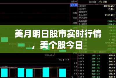 美月明日股市实时行情,美个股今日