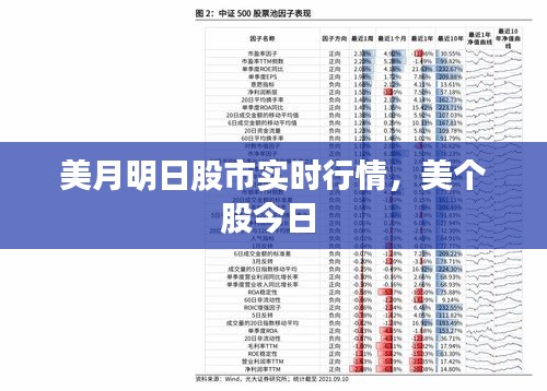 美月明日股市实时行情,美个股今日