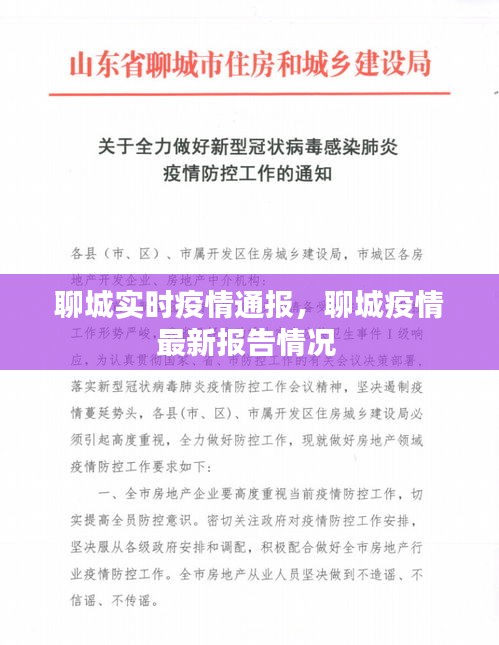聊城实时疫情通报,聊城疫情最新报告情况