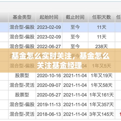 基金怎么实时关注,基金怎么关注基金经理
