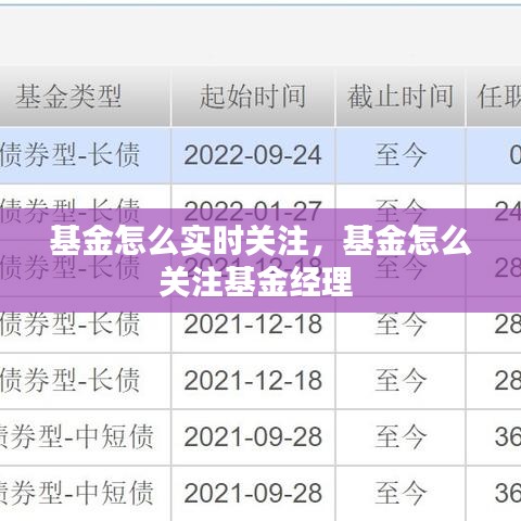 基金怎么实时关注,基金怎么关注基金经理