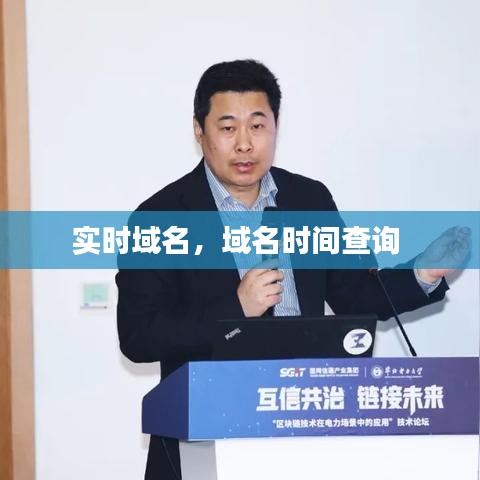 实时域名,域名时间查询