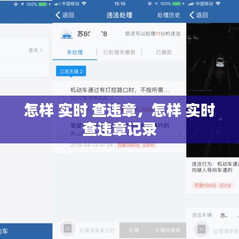 怎样 实时 查违章,怎样 实时 查违章记录